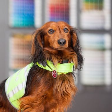 img-maler-willenborg-10